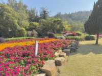  **🌸【廈門園林植物園】花卉園區：歐式花園裡的四季花海，邂逅浪漫與詩意！**  