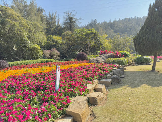  **🌸【廈門園林植物園】花卉園區：歐式花園裡的四季花海，邂逅浪漫與詩意！**  