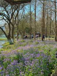 Maojiabu– Hangzhou's Rustic Waterfront Escape