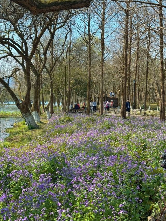 Maojiabu– Hangzhou's Rustic Waterfront Escape