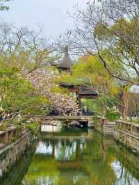 Cherry Blossoms at Guangfulin Relics Park: A Dreamy Spring Escape