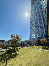 Springtime at Tokyo Skytree – Flowers & Koinobori Galore!