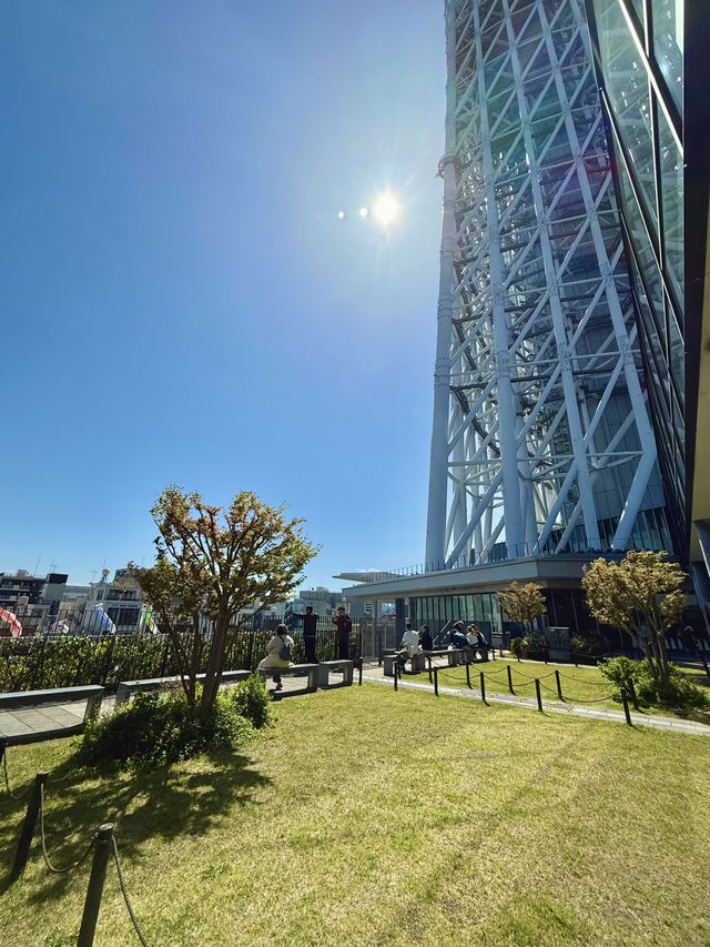 Springtime at Tokyo Skytree – Flowers & Koinobori Galore!
