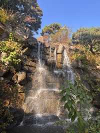 🍁 단풍이 내려앉은 숲, 가을의 화담숲 🌳✨ 