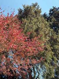 首爾｜獨立門公園｜拍照打卡好去處