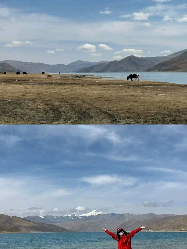 Yamdrok Lake: A Heavenly Gem in the Heart of Tibet