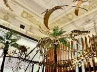 國立台灣博物館-古生物館竟然也是金融博物館！