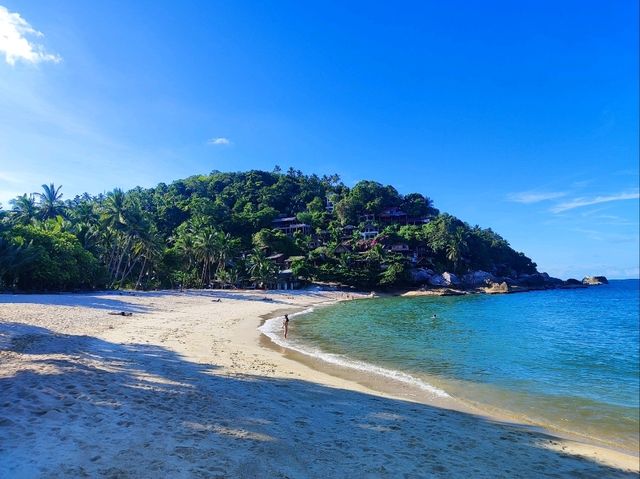 dog beach 