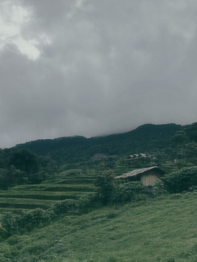 นาขั้นบันได บ้านปางมะโอเชียงใหม่