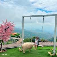 🐑 #ไร่ฟาร์มแกะ ภูทับเบิก☺️📌