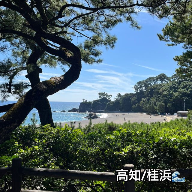 【高知】桂浜の魅力スポットをご紹介🌊