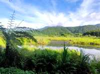 #雙連埤-宜蘭縣員山鄉