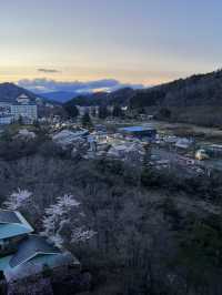 春櫻 仙台