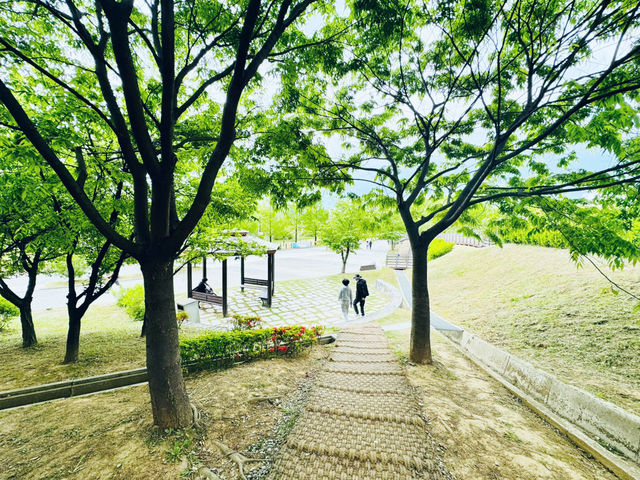 Where Nature Nurtures