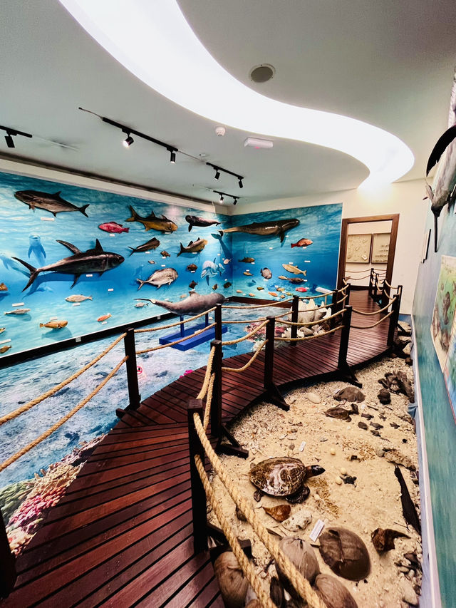 Explore Borneo’s Wild Wonders at the Natural History Museum