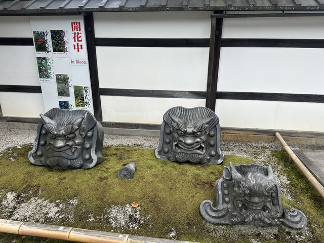 京都天龍寺：穿越時光的禪意之旅，在嵐山竹林中尋找內心的寧靜！