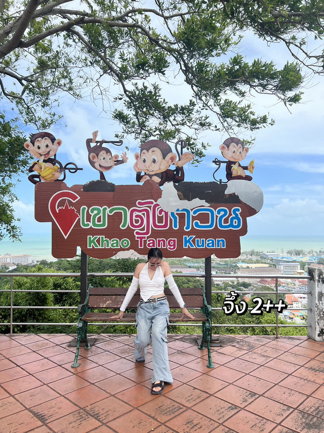 🐒ชมวิว ดูลิง กินน้ำมะพร้าวที่สงขลา ฉบับงบน้อย