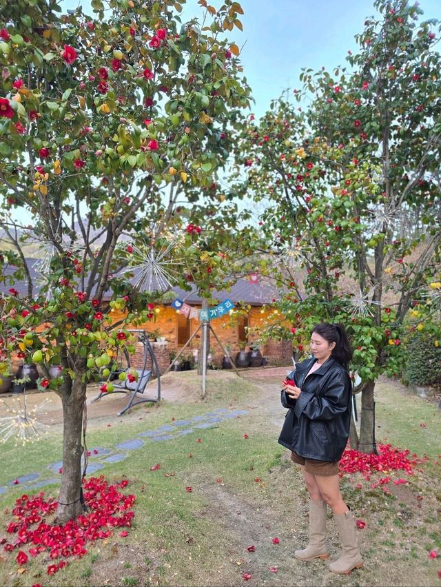 사랑스런 동백꽃 포토존이 아름답던 부산카페🌺
