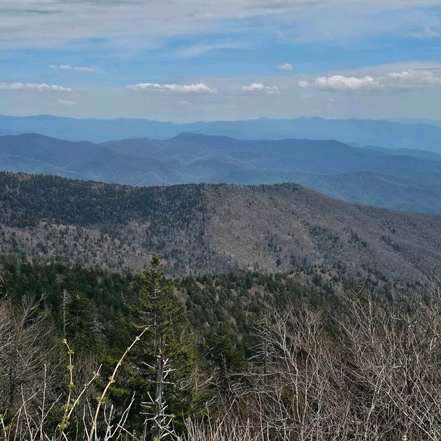 Clingmans Dome – Great Smoky Mountains, TN