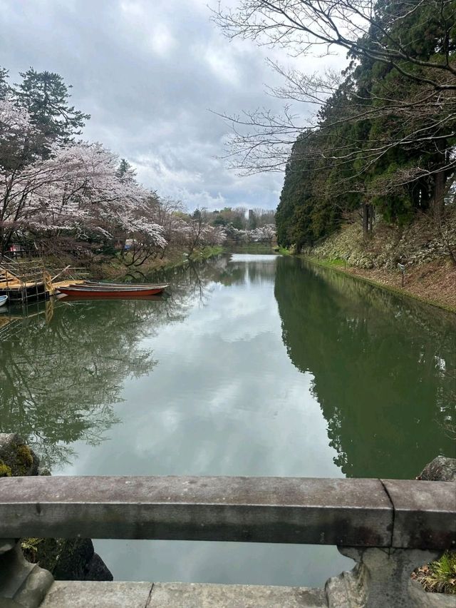 Sakura Flowers in Hirosaki Park: A Spectacular Springtime View