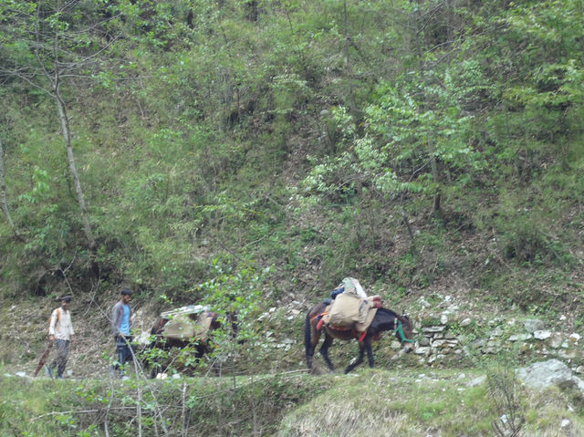 Dodital Trek—Hiking in Himalaya for the first time!