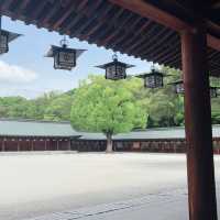 Sacred Stroll at Kashihara Jingu