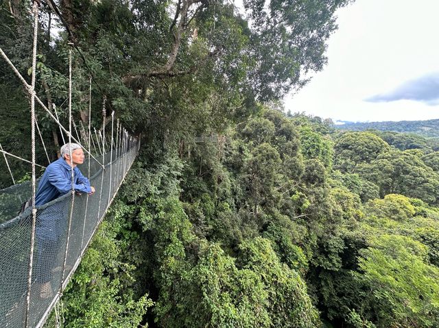 馬來西亞沙巴神山Mt. Kinabalu自由行