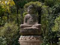 Rock Garden Feels at Ryoanji