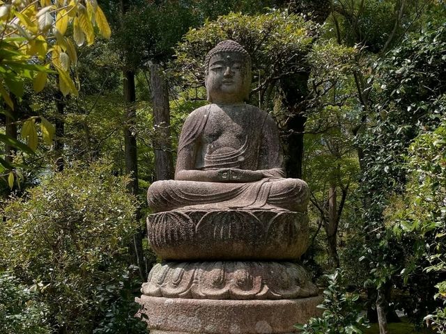 Rock Garden Feels at Ryoanji