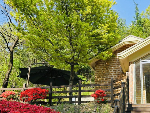 Retreat at Jangnyeongsan Natural Recreation Forest