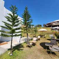 คาเฟ่สีขาว วิวดอยหลวงเชียงดาว : Atmosphere resort