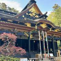 絶対に行って欲しい仙台3日間の旅行体験！