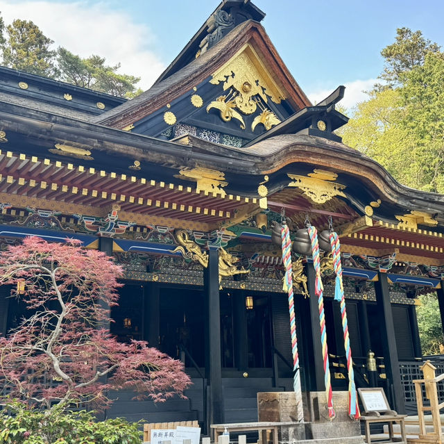 絶対に行って欲しい仙台3日間の旅行体験！
