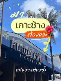 หนองบัวซีฟู้ด เกาะช้าง อร่อยจนต้องซ้ำ😝✨