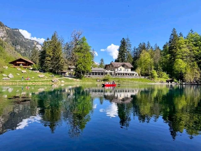 瑞士藍湖 Blausee，如畫一般的透藍翠綠絕景