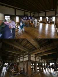 Japan's Iconic Beauty and Epic History
