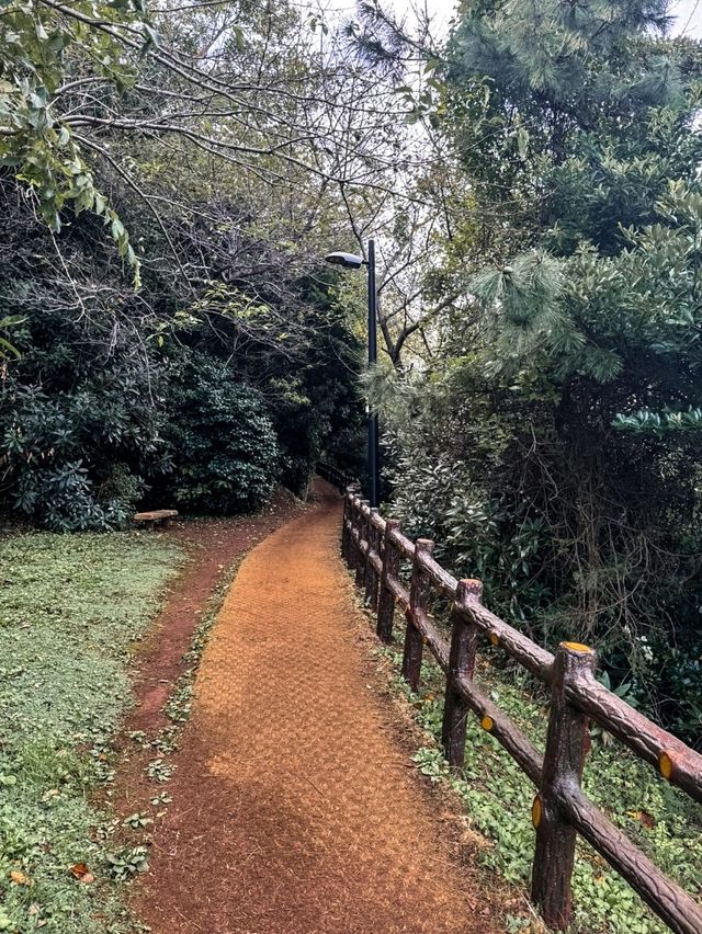 올레 18코스 사라봉