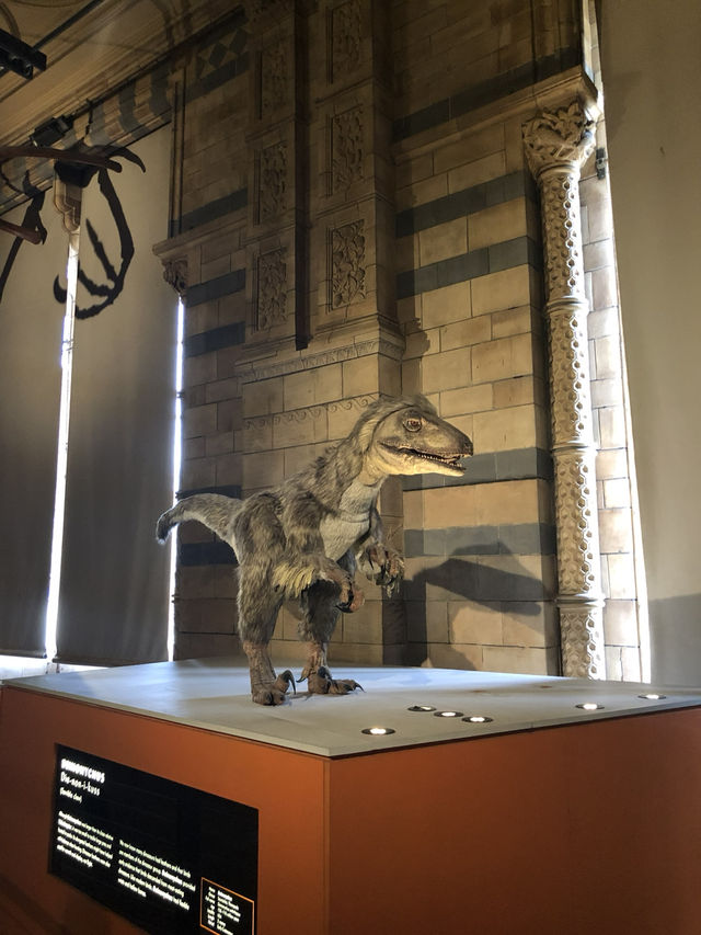 【倫敦必訪🌍自然歷史迷的天堂！自然歷史博物館體驗心得🦖🧬】
