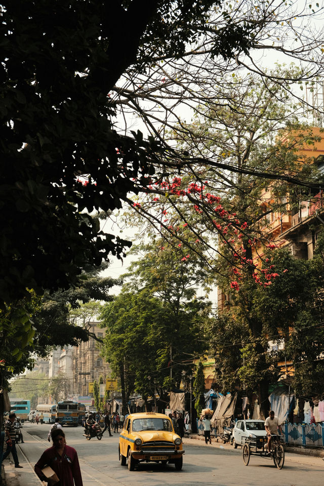 5 Days in Kolkata: A Journey Through Time, Taste & Tradition