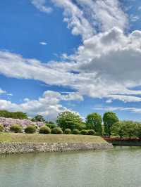 24 Hours in Hakodate – Seafood, Skylines & Satisfying Sprints
