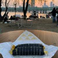 nodeul island (노들섬) ปิคนิคริมแม่น้ำฮัน วิวสุดจึ้ง!