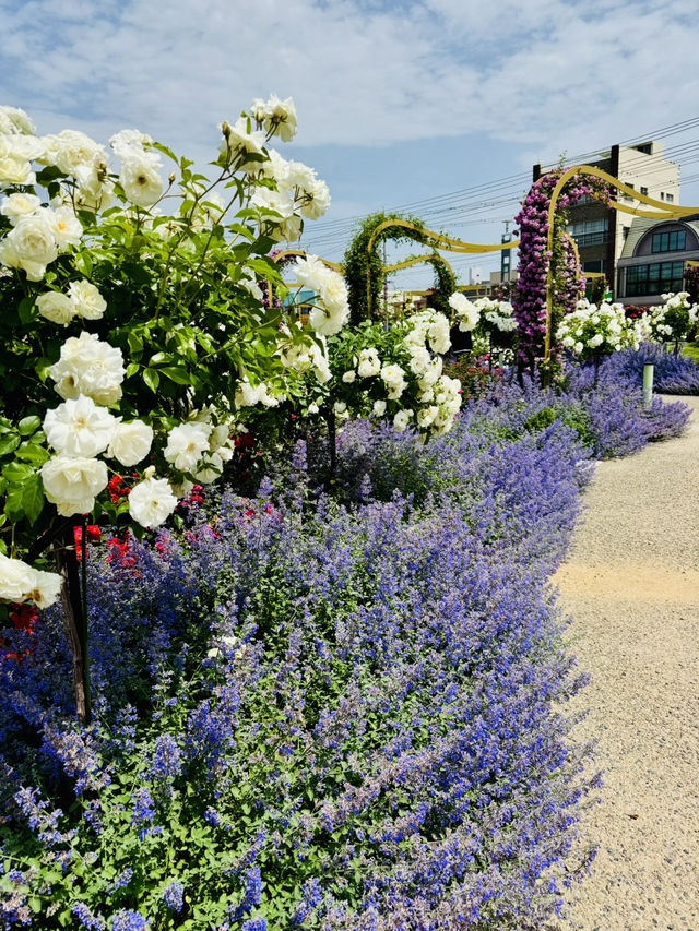 薔薇だらけの世界バラ会議