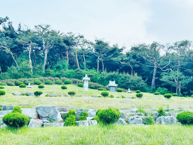 Seongnae Reservoir: Nature’s Mirror