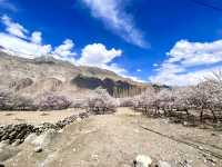  The soul of Pakistan—where history
