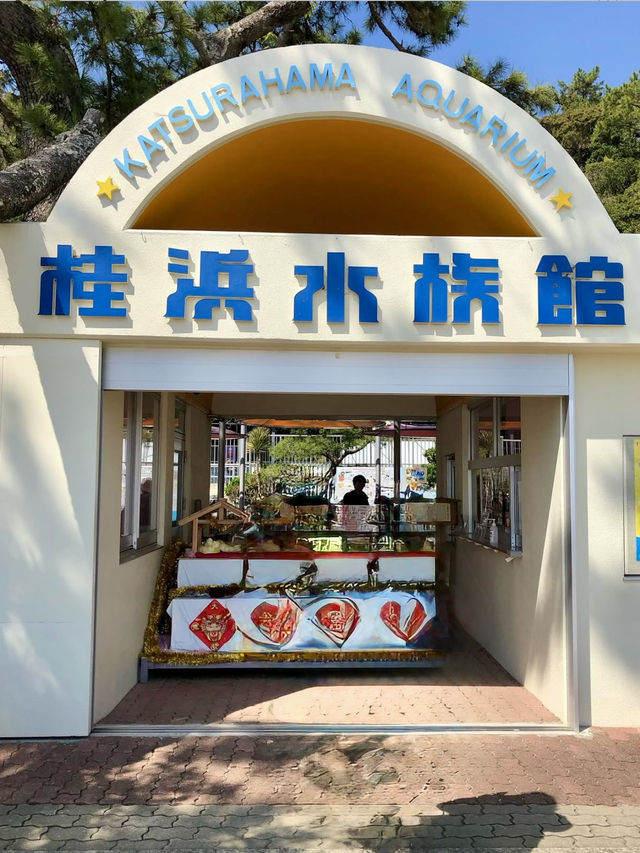 A Relaxed Day by the Sea – Exploring Katsurahama
