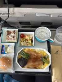 🇱🇰スリランカ航空搭乗レポート