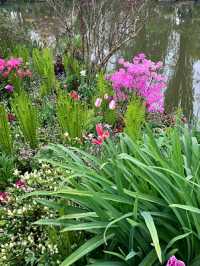 Monet’s Garden – A Living Canvas in Giverny, France