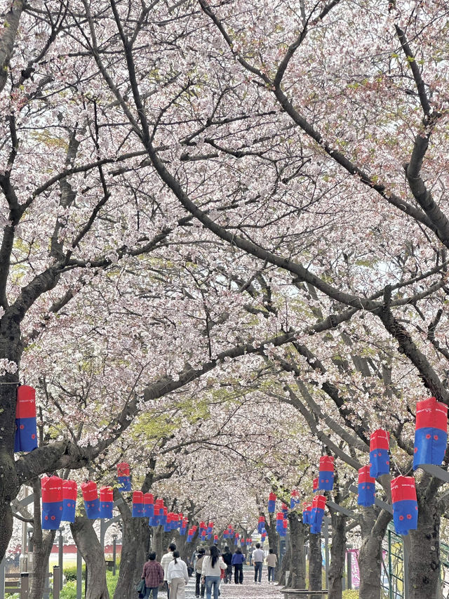 J의 남원 여행기(뚜벅이 버전🏃🏻‍♀️) 