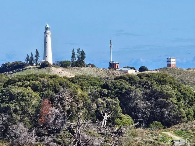 A Perfect Escape to Rottnest Island