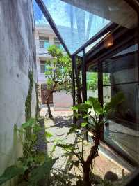 IBT COffee
